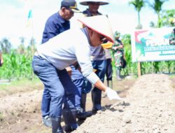 Bupati Meranti Resmikan Rumah Singgah Desa dan Pimpin Panen Raya Jagung Pipil di Teluk Samak
