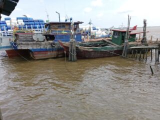 Diduga Kebal Hukum " Kapal AS Bermuatan Impor Bebas Bongkar Muat di Pelabuhan Tikus Selatpanjang, Bea Cukai Tutup Mata