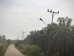 Tagihan Listrik Penerangan Jalan Umum Labusel Tembus Rp12 Miliar, Warga Tanjung Mulia: Lampu Kami Mati Bertahun-tahun, Cuma Pajangan