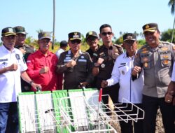 Panen Padi di Meranti Meningkat, Produksi Tembus 6.000 Ton per Tahun
