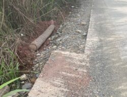 Gunakan Dana DBH, Pembangunan Rabat Beton Desa Tanjung Mulia Diduga Tidak Sesuai RAB
