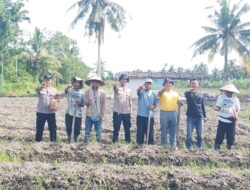 Penanaman Jagung Pipil di Desa Gogok Darussalam, Kolaborasi Polsek Tebing Tinggi Barat dan Kelompok Tani wujudkan ketahanan pangan nasional