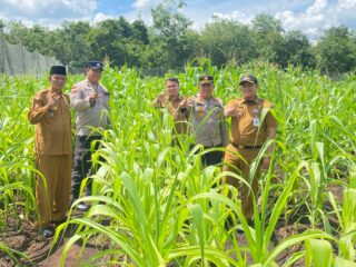 Sukseskan Ketahanan Pangan, Polsek Bengkalis Cek Sumber Air Siapkan Lahan Jagung Pipil di Kuala Alam