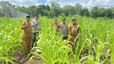 Sukseskan Ketahanan Pangan, Polsek Bengkalis Cek Sumber Air Siapkan Lahan Jagung Pipil di Kuala Alam