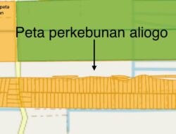 Dugaan Penghindaran Pajak, Perkebunan Sawit Aliogo 200 Hektar di Tanjung Mulia Diduga Pecah Surat Milik Pribadi