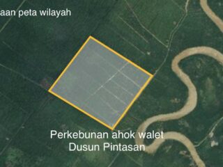 Belasan Tahun Beroperasi Diduga Perkebunan Ahok Walet Tanpa HGU dan Tak Tersentuh Pajak
