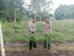 Wujudkan Ketahanan Pangan Nasional, Polsek Tebingtinggi Barat Turun melakukan pembinaan kepada Masyarakat