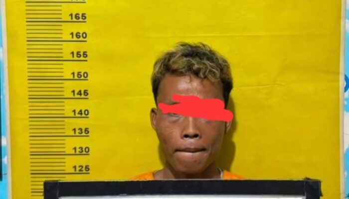 Pura-pura Menginap, Ibu Rumah Tangga Jadi Korban Pencabulan di Bungur. Pelaku Diamankan Sat Reskrim Polres Kep. Meranti