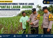 Bhabinkamtibmas Polsek Bengkalis Turun Langsung Pantau Lahan Jagung, Dukung Ketahanan Pangan di Desa Kuala Alam
