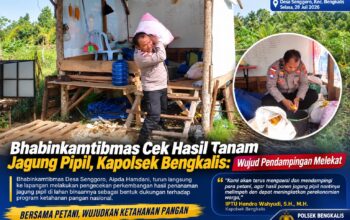 Bhabinkamtibmas Cek Hasil Tanam Jagung Pipil, Kapolsek Bengkalis: Wujud Pendampingan Melekat
