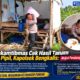 Bhabinkamtibmas Cek Hasil Tanam Jagung Pipil, Kapolsek Bengkalis: Wujud Pendampingan Melekat