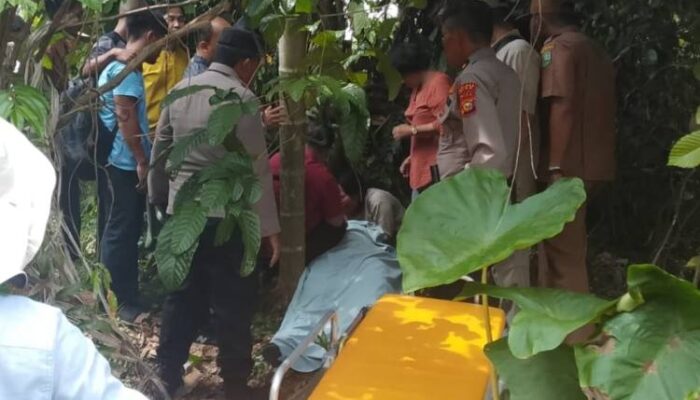 Dokter RSUD Tengku Rafian Siak Ditemukan Meninggal di Area Semak, Polisi Dalami Penyebab Kematian