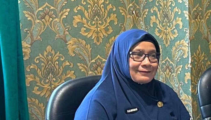 Kesbangpol Kepulauan Meranti Tegaskan Komitmen Cegah Konflik Sosial Terkait Usaha Panglong Arang
