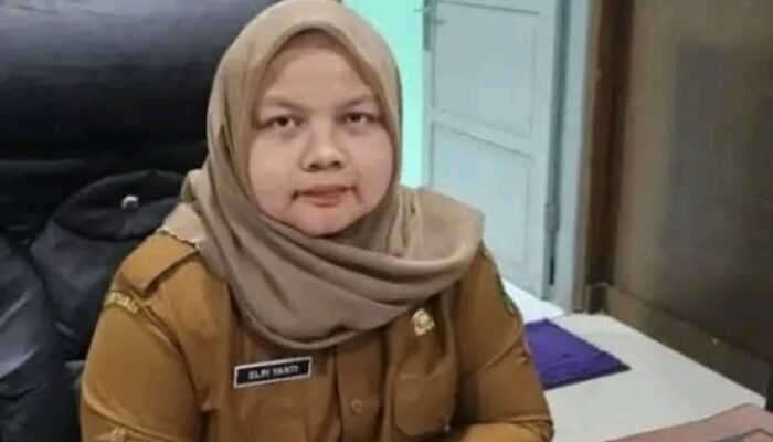 KPK Kembali Panggil Eks Kadis PUPR Madina Elpi Yanti Harahap, Kembangkan Kasus Korupsi Jalan Sumut